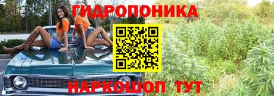 дурь Пугачёв