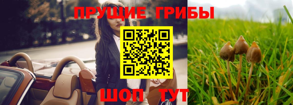 Отрадный  Псилоцибиновые грибы Magic Shrooms  Вход с VPN 